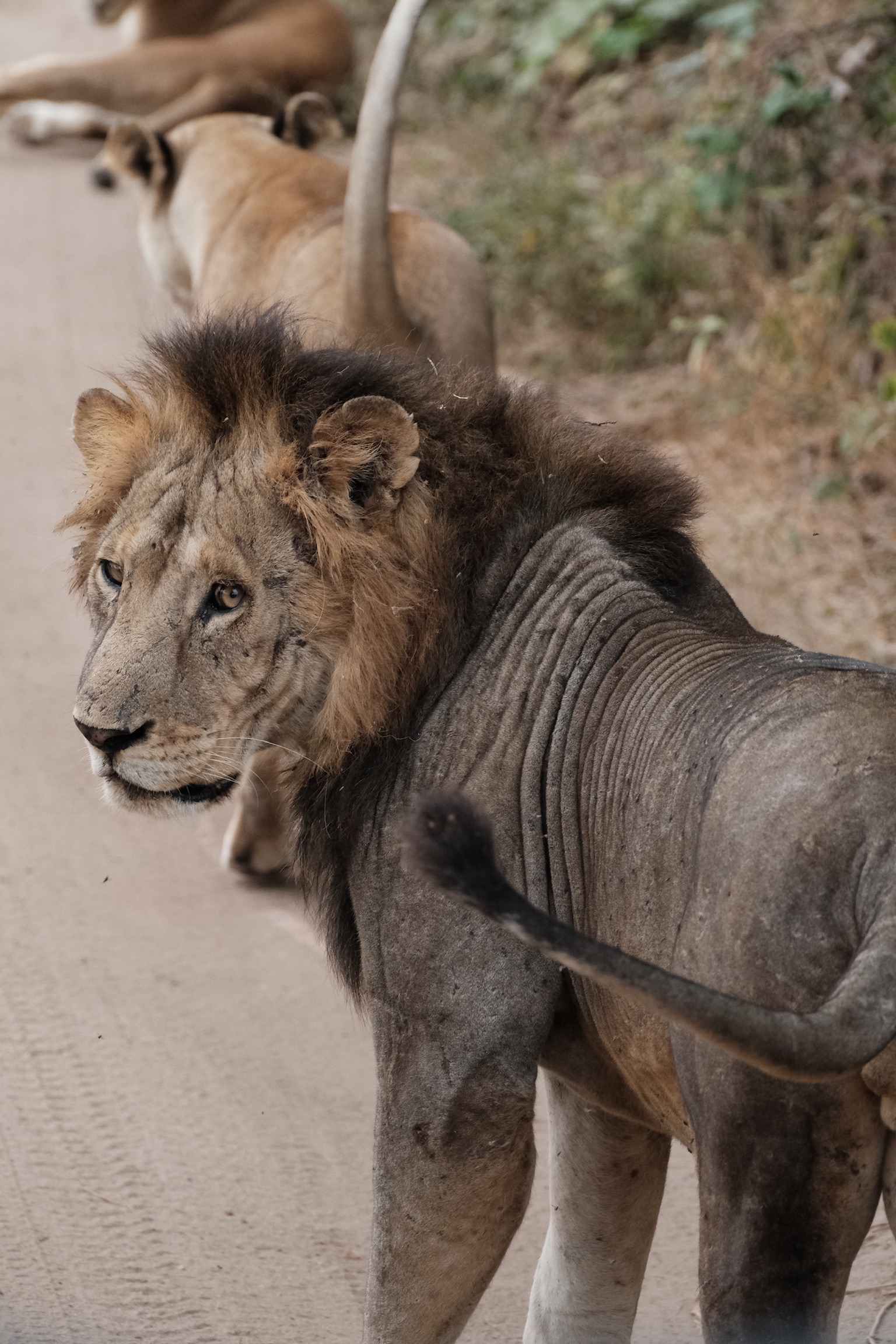Ngorongoro Crater